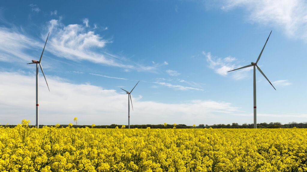 Klimaschutz